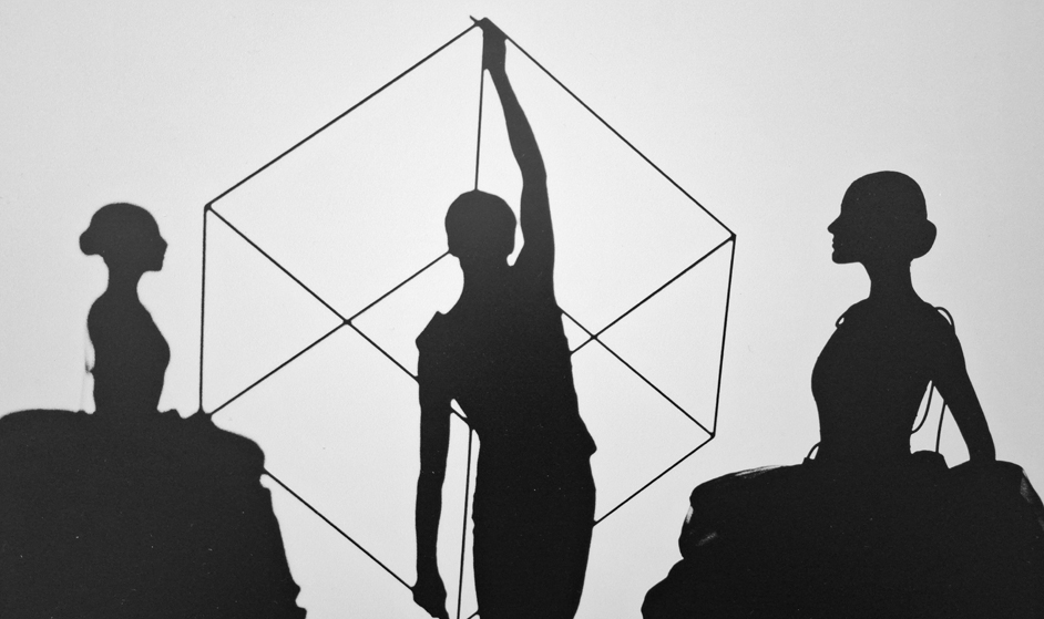 Introdans ICOON